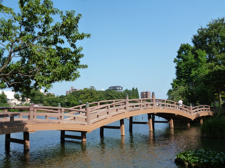 洗足池公園橋